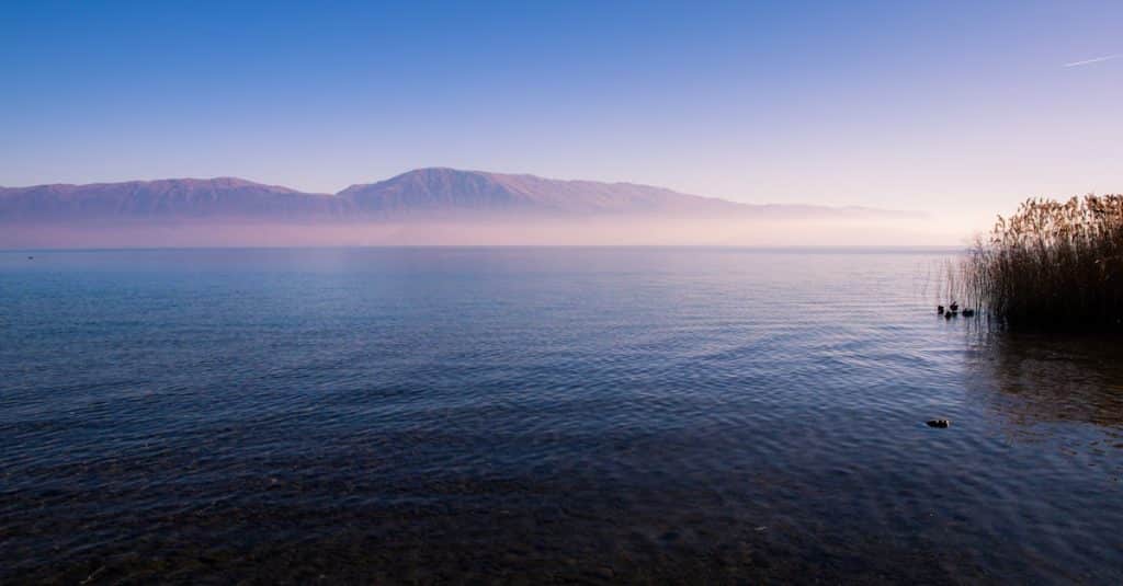 découvrez mljet, l'île paradisiaque de croatie, célèbre pour ses paysages naturels époustouflants, ses eaux cristallines et son parc national. explorez ses sentiers, ses lacs salés et plongez dans l'histoire riche de ce joyau méditerranéen.