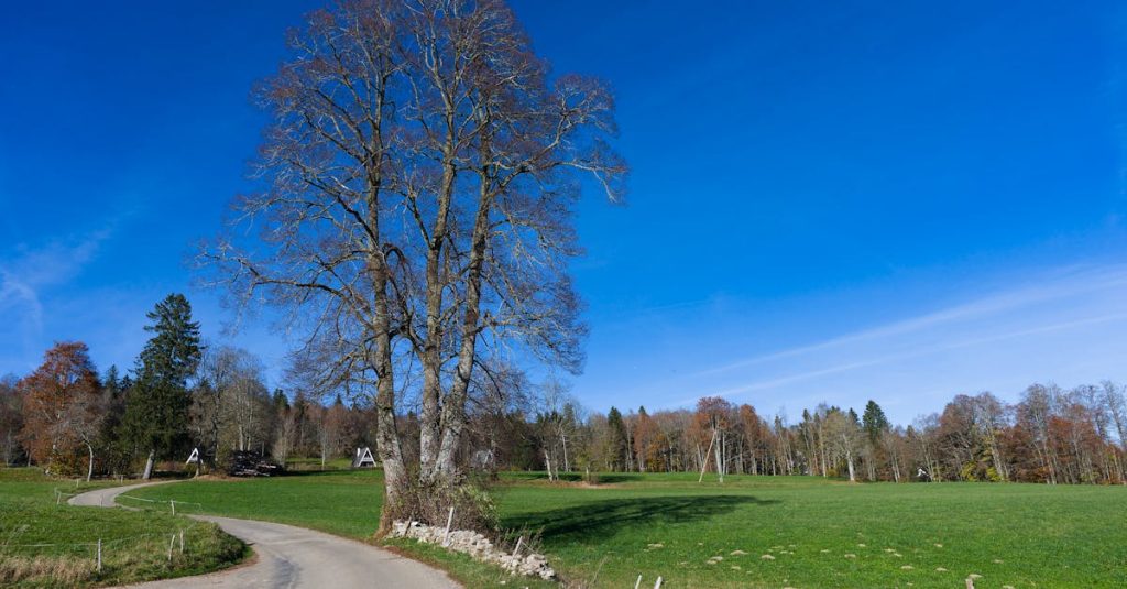 découvrez le jura, une région authentique de france, célèbre pour ses paysages naturels époustouflants, ses montagnes majestueuses, ses lacs cristallins et son riche patrimoine culturel. explorez ses sentiers, savourez ses spécialités culinaires et laissez-vous séduire par la douceur de vivre de cette destination unique.