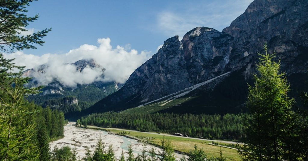 découvrez l'excitation de la via ferrata, une aventure unique mêlant escalade et randonnée sur des parcours sécurisés. profitez de paysages à couper le souffle tout en challengeant vos limites dans un cadre naturel exceptionnel.