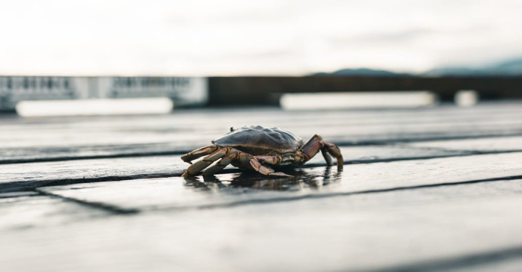 découvrez les parcs aquatiques pour des journées d'adrénaline et de divertissement en famille ou entre amis. glissements vertigineux, piscines à vagues et zones de détente vous attendent pour des moments inoubliables sous le soleil.