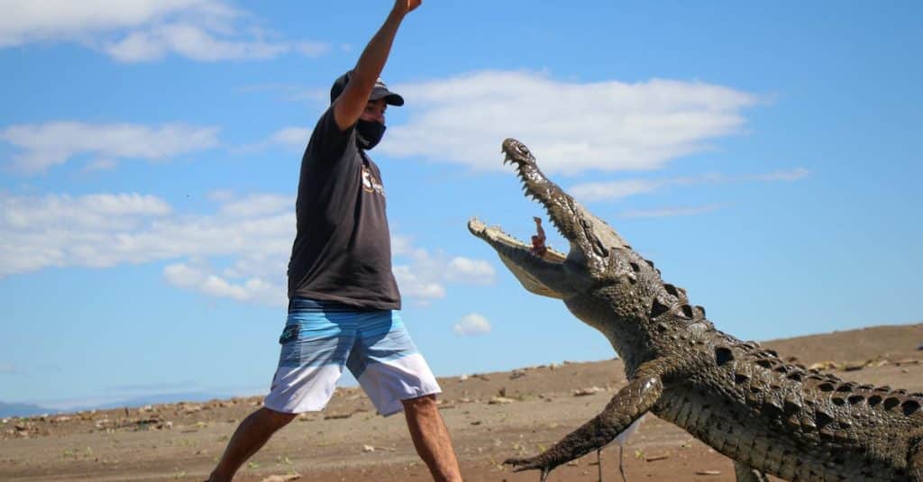 Quand le voyage en famille dérape : le récit d’une aventure imprévue découvrez des aventures inattendues qui vous plongeront dans des expériences extraordinaires et mémorables. préparez-vous à explorer l'inconnu et à vivre des moments uniques qui bousculeront vos attentes.