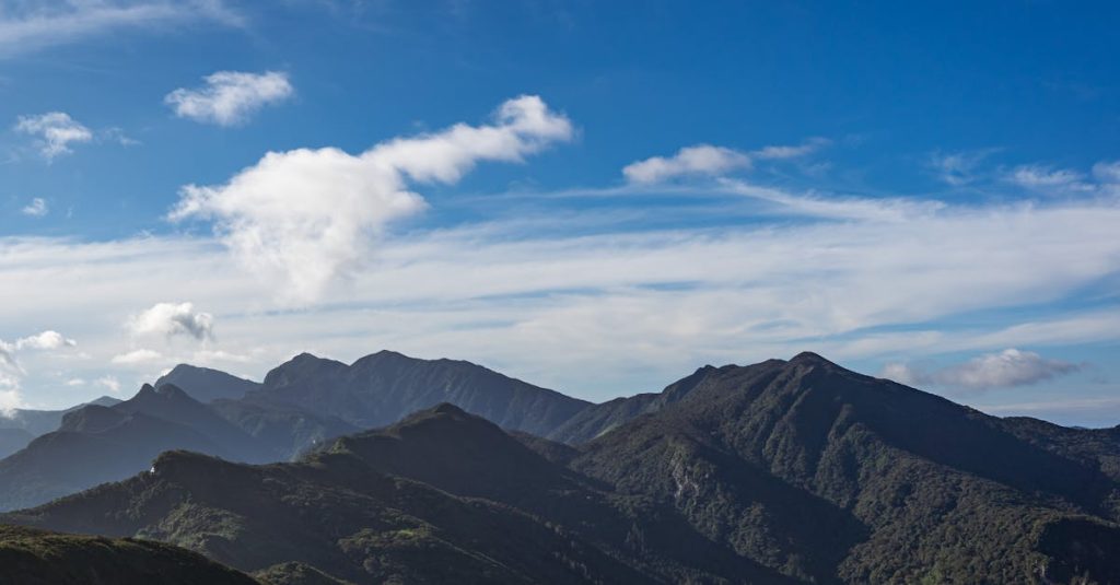 découvrez nos conseils de voyage essentiels pour explorer le sri lanka. des astuces sur les meilleurs endroits à visiter, la cuisine locale à ne pas manquer et les conseils pratiques pour un séjour inoubliable sur cette île tropicale.