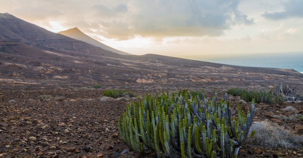 découvrez les merveilles du cap-vert, un archipel idyllique situé au large de la côte ouest de l'afrique. profitez de plages de sable fin, d'une culture vibrante et de paysages à couper le souffle. idéal pour les amateurs de nature et d'aventures, le cap-vert vous attend pour des vacances inoubliables.