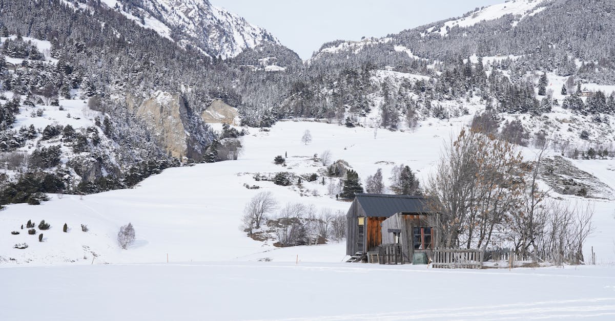 découvrez aussois, un charmant village savoyard niché au cœur des alpes, offrant des paysages à couper le souffle, des activités de montagne variées et un riche patrimoine culturel. parfait pour les amateurs de nature et de sports d'hiver !
