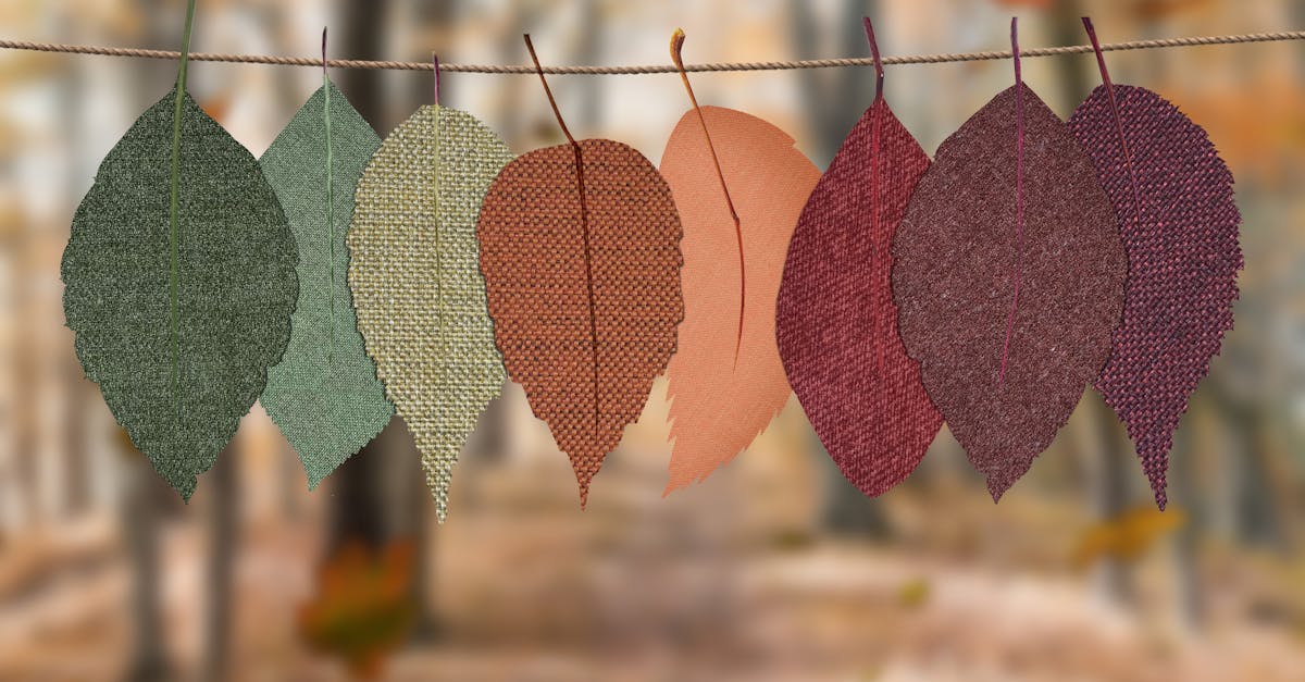 découvrez la beauté de l'automne, une saison magique où les feuillages se teintent de couleurs éclatantes, les journées se rafraîchissent et les traditions réapparaissent. explorez des activités, des recettes et des inspirations pour profiter pleinement de cette période enchanteuse.