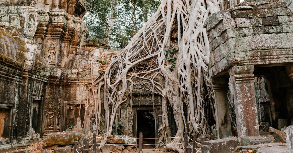 découvrez le cambodge, un pays d'asie du sud-est riche en histoire, culture et paysages époustouflants. explorez les temples d'angkor, savourez la cuisine locale, et plongez dans la vie vibrante des marchés cambodgiens.