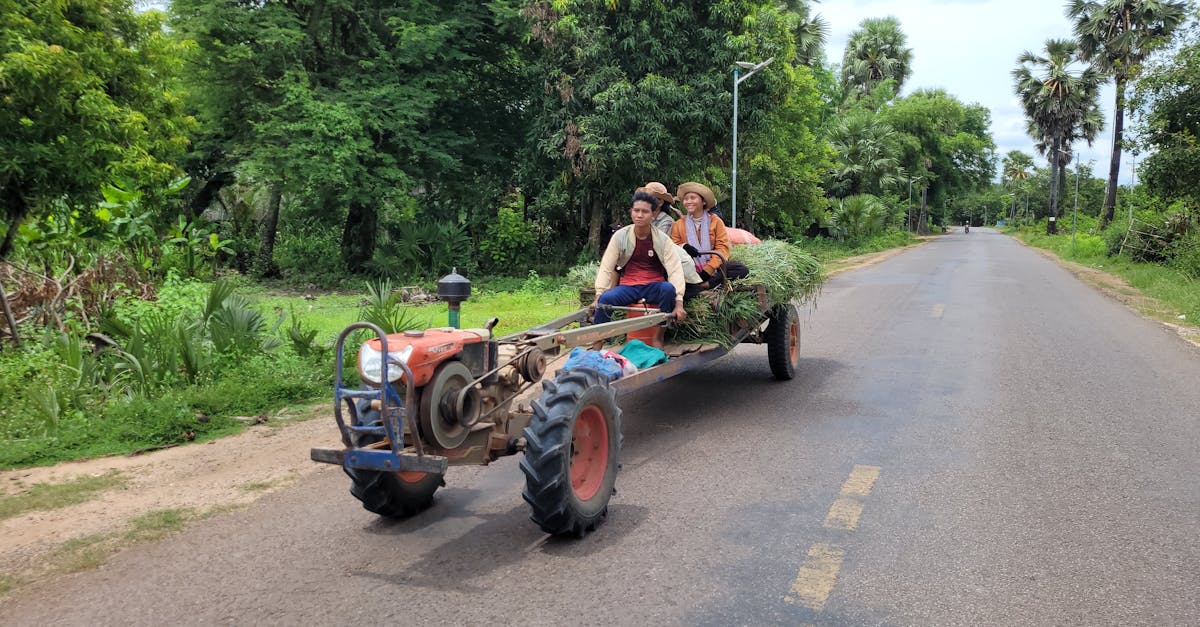 découvrez le cambodge, un pays fascinant d'asie du sud-est, riche en histoire, culture et paysages époustouflants. explorez les temples d'angkor, flânez dans les rues de phnom penh et savourez la délicieuse cuisine khmère. un voyage inoubliable vous attend au cœur des merveilles cambodgiennes.