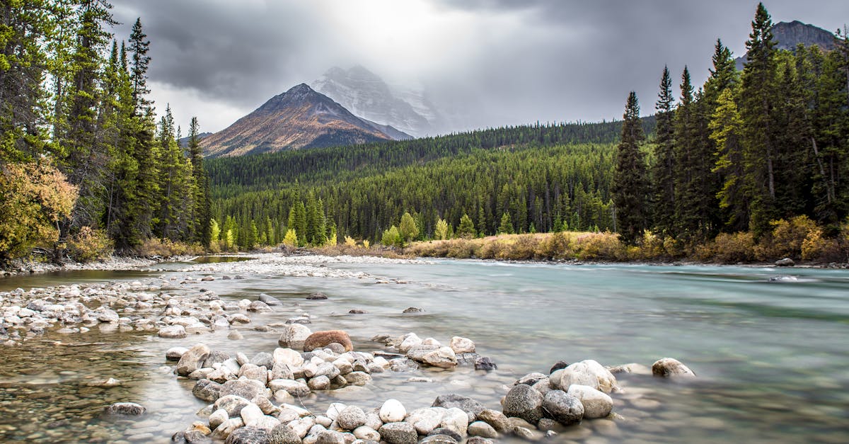 découvrez le canada, un pays aux paysages majestueux, à la culture riche et diversifiée. explorez ses villes vibrantes, sa nature sauvage, et ses traditions uniques, tout en vous laissant séduire par l'hospitalité chaleureuse de ses habitants.