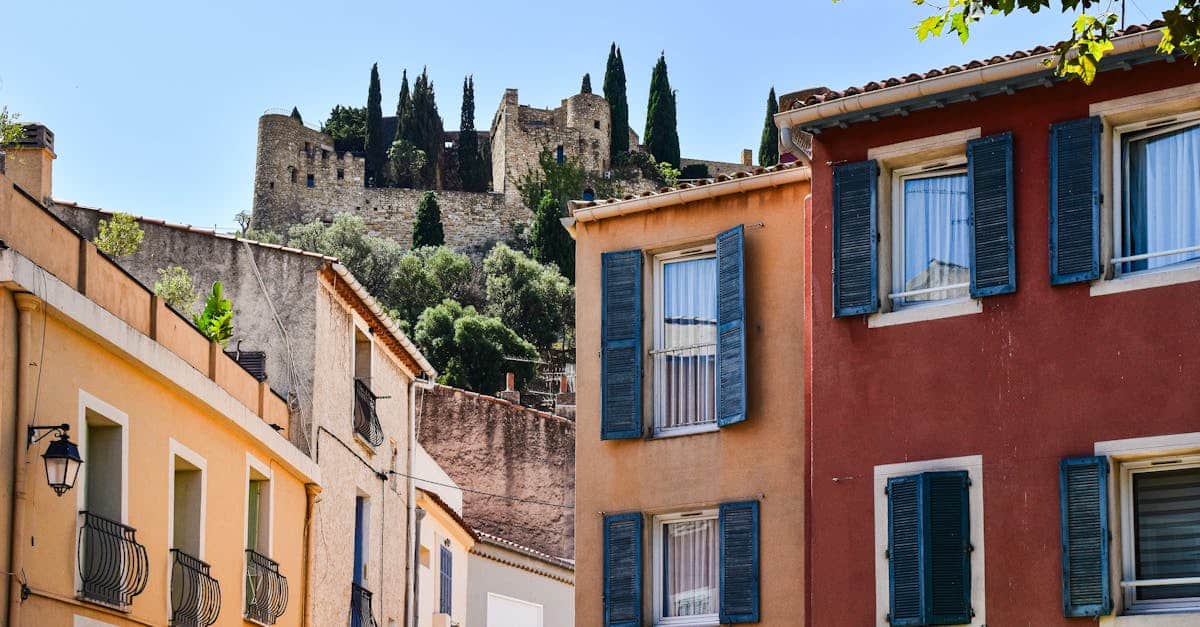 découvrez le cassis, ce petit fruit noir au goût riche et intense, aux multiples bienfaits pour la santé. apprenez comment l'utiliser en cuisine, en pâtisserie ou pour concocter des boissons rafraîchissantes. explorez ses propriétés antioxydantes et ses usages traditionnels.