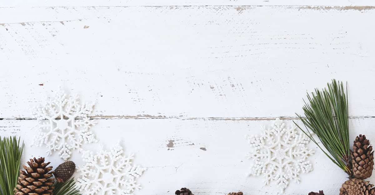 découvrez la magie de noël avec des idées de décoration, des recettes festives et des traditions chaleureuses pour célébrer cette période enchantée en famille et entre amis.