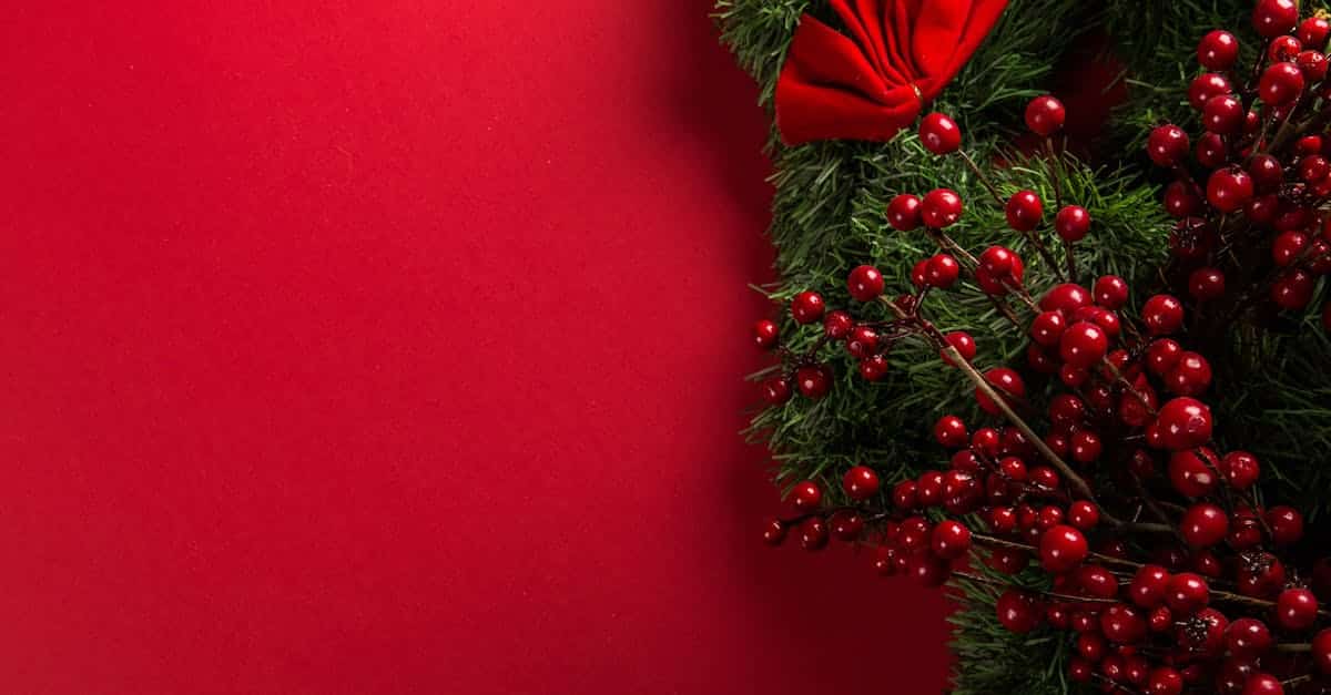 découvrez la magie de noël avec nos idées de décoration, recettes festives et conseils pour des célébrations inoubliables. plongez dans l'esprit des fêtes et faites de ce noël un moment mémorable en famille et entre amis.