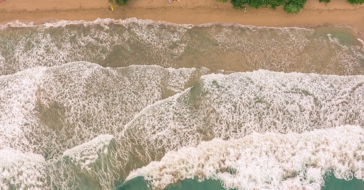 découvrez le costa rica, un véritable paradis naturel où la biodiversité rencontre l'aventure. explorez des plages de sable doré, des volcans majestueux et des forêts luxuriantes tout en profitant d'une culture riche et accueillante. préparez votre voyage inoubliable dans ce joyau d'amérique centrale!