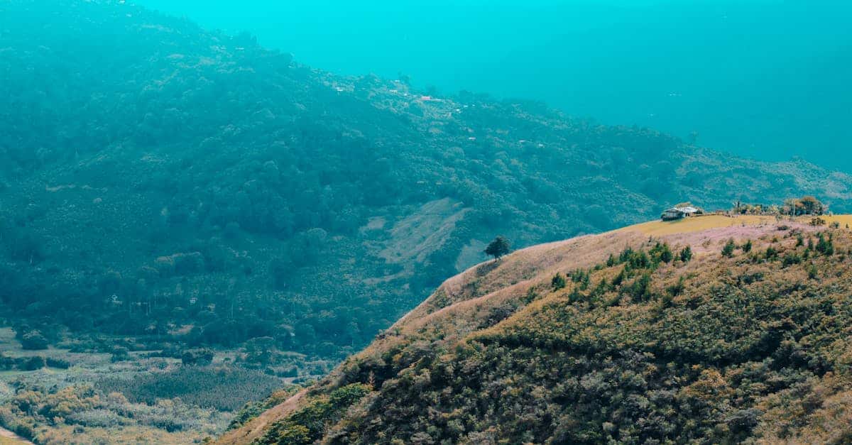 découvrez le costa rica, un véritable paradis naturel offrant des paysages époustouflants, une biodiversité incroyable, et des aventures inoubliables. explorez ses plages dorées, ses forêts tropicales luxuriantes et sa faune sauvage unique, tout en profitant d'une culture riche et accueillante.