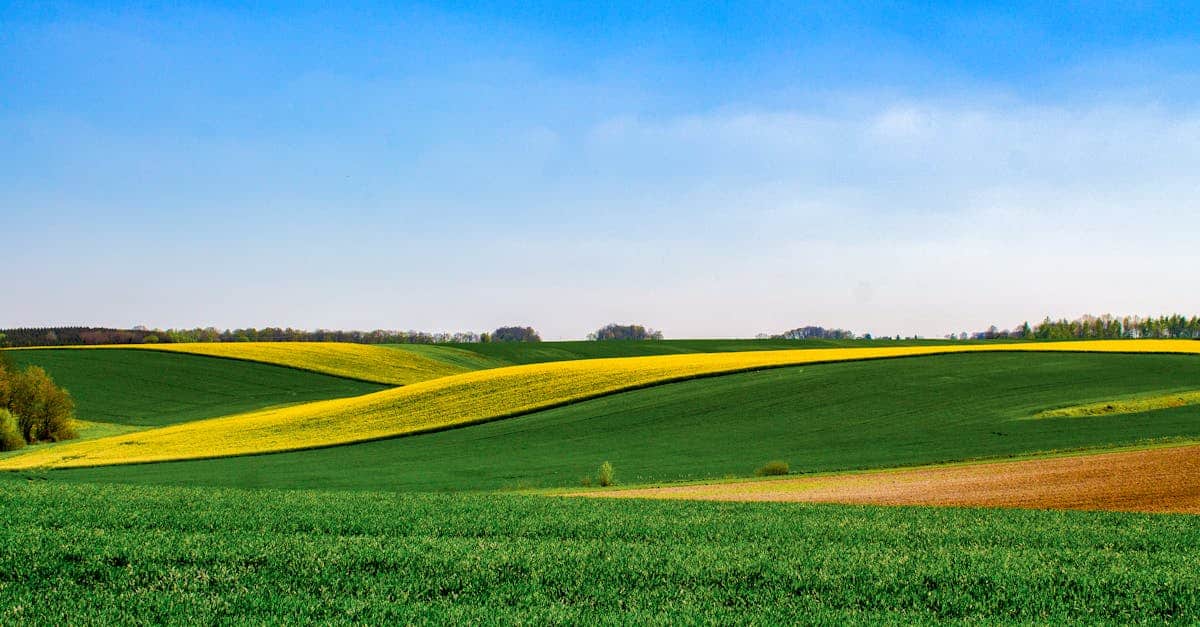 découvrez la beauté apaisante de la campagne, un refuge de nature, de tranquillité et de paysages pittoresques. évadez-vous du tumulte urbain et plongez dans le charme authentique des villages, des champs verdoyants et des traditions rurales.