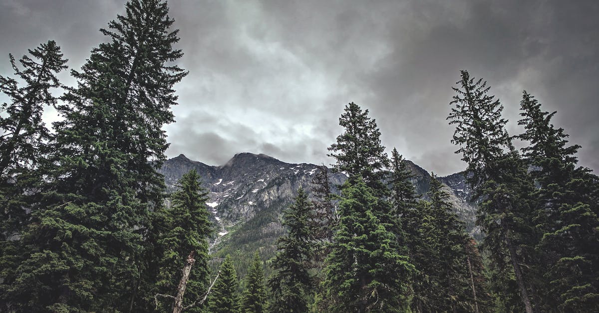 découvrez crans-montana, une destination idéale pour les amoureux des montagnes, offrant des paysages à couper le souffle, des activités en plein air variées, et un ambiance chaleureuse tout au long de l'année.