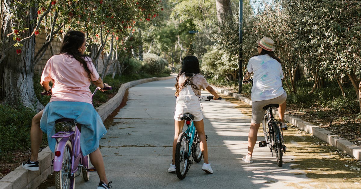 découvrez le plaisir du vélo en famille ! profitez d'aventures inoubliables sur deux roues avec vos proches, explorez des pistes sécurisées et des paysages magnifiques tout en renforçant les liens familiaux. que vous soyez débutants ou cyclistes expérimentés, il y en a pour tous les goûts. embarquez pour une expérience cycliste enrichissante et conviviale !