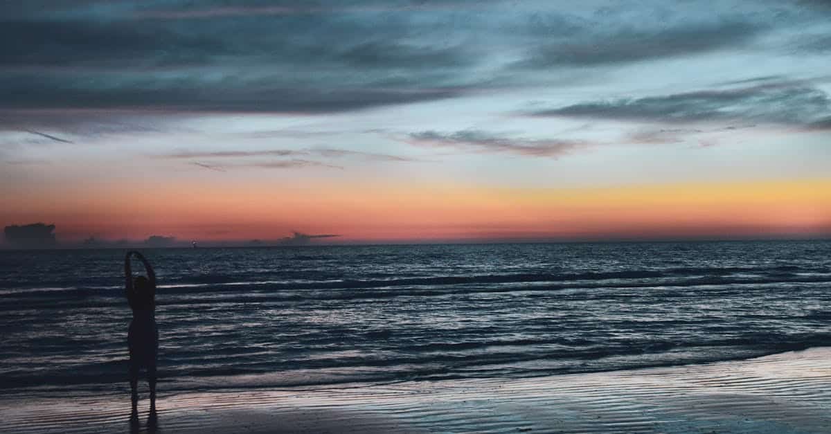 découvrez la floride, un état ensoleillé connu pour ses magnifiques plages, parcs d'attractions emblématiques comme disney world et une nature préservée. plongez dans une expérience unique entre culture, aventure et détente au cœur des everglades et des keys.