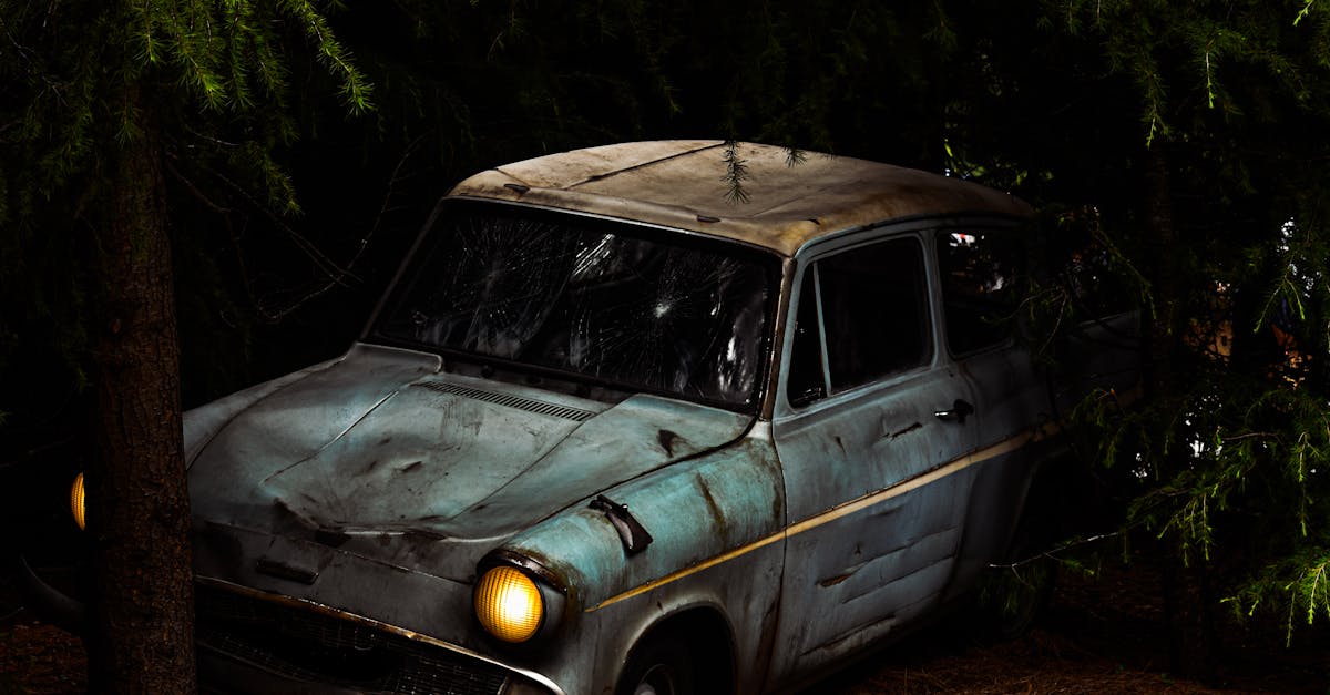 découvrez les trésors cachés qui éveilleront votre curiosité et enrichiront vos explorations. plongez dans un monde où chaque coin recèle des merveilles insoupçonnées, des histoires fascinantes et des expériences uniques à vivre.