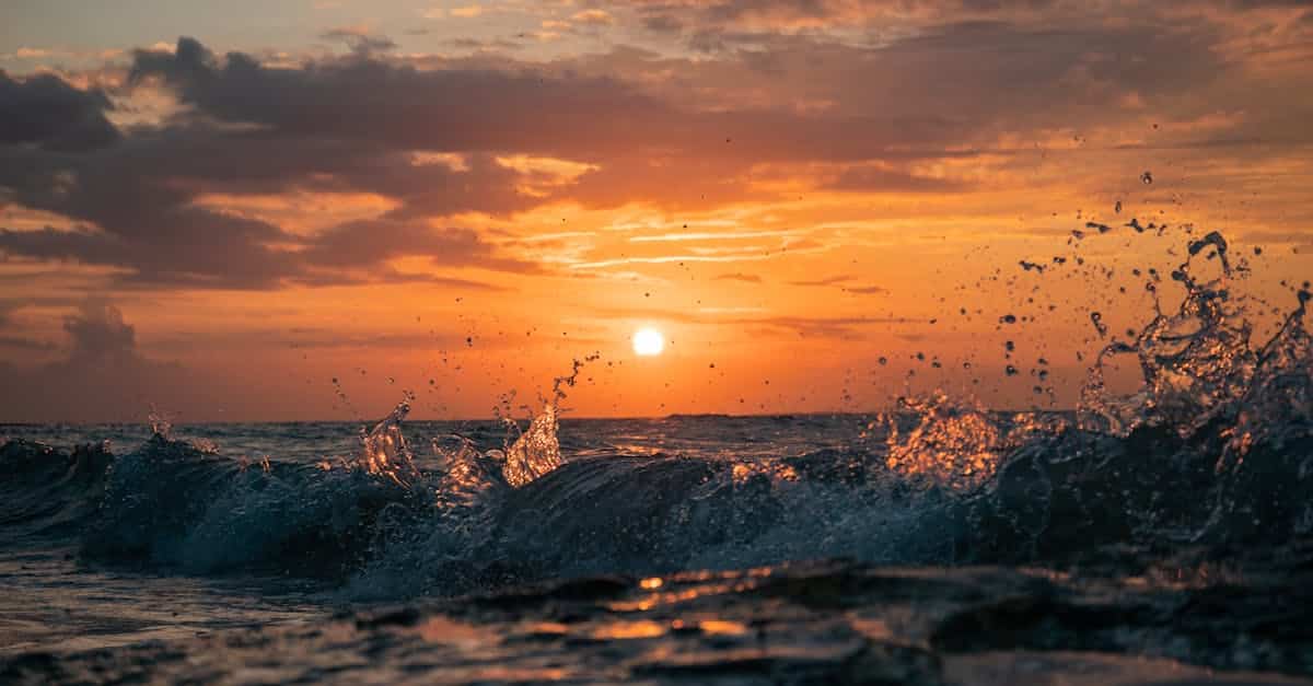 découvrez holbox, une île paradisiaque au large de la côte mexicaine, célèbre pour ses plages de sable blanc, ses eaux cristallines et sa faune exceptionnelle. évadez-vous dans ce havre de paix où nature et tranquillité s'unissent pour offrir une expérience inoubliable.