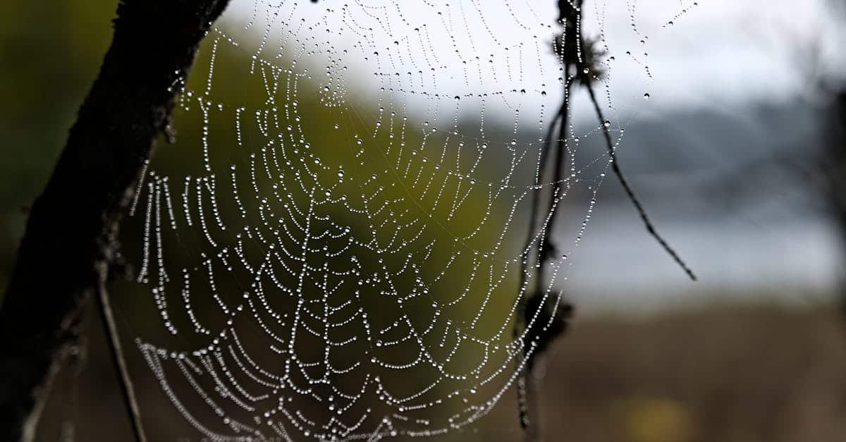 découvrez le jura, une région naturelle d'une beauté exceptionnelle, riche en paysages montagneux, lacs cristallins et traditions artisanales. explorez ses sentiers de randonnée, ses spécialités gastronomiques et ses sites historiques pour une expérience inoubliable.