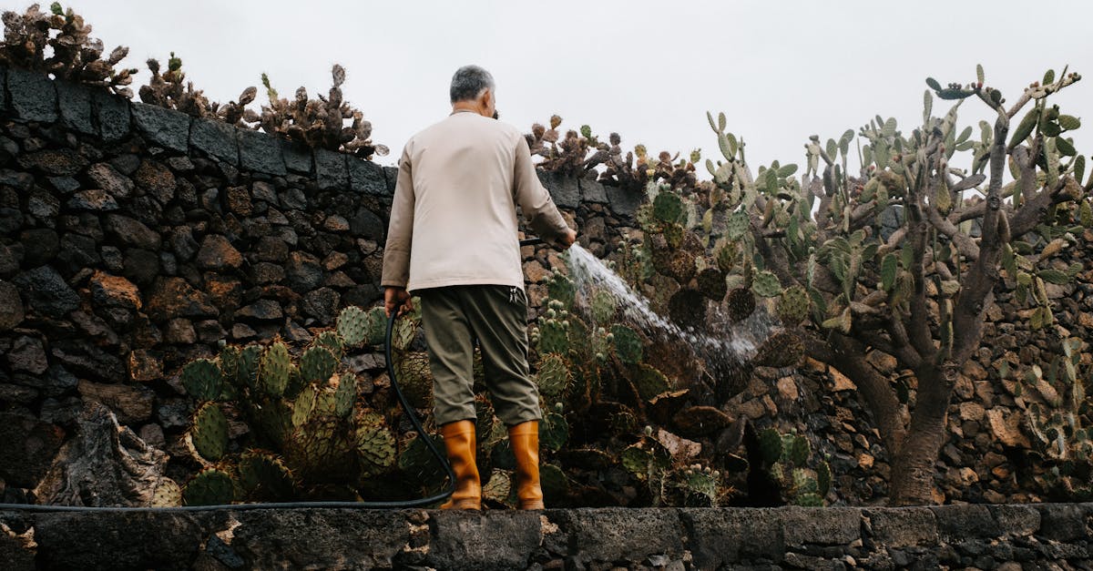 découvrez lanzarote, une île des canaries célèbre pour ses paysages volcaniques, ses plages paradisiaques et ses vignobles uniques. explorez ses parcs naturels, admirez ses œuvres d'art et plongez dans une culture riche et authentique.