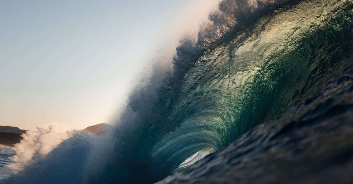 découvrez lanzarote, une île enchanteresse des canaries, célèbre pour ses paysages volcaniques, ses plages de sable doré et son climat doux toute l'année. explorez ses parcs naturels, ses vins uniques et sa culture riche, pour des vacances inoubliables au cœur d'une nature préservée.