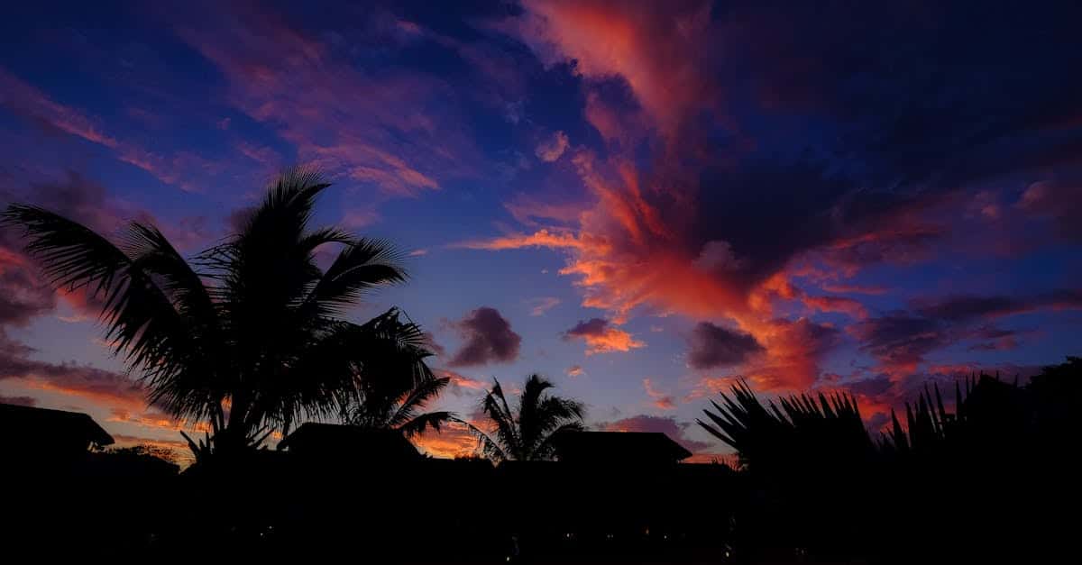 découvrez l'île maurice, un paradis tropical au cœur de l'océan indien, célèbre pour ses plages de sable fin, ses eaux turquoise et sa biodiversité unique. explorez ses paysages pittoresques, sa culture riche et ses délices culinaires, tout en profitant d'activités nautiques et d'une nature préservée.
