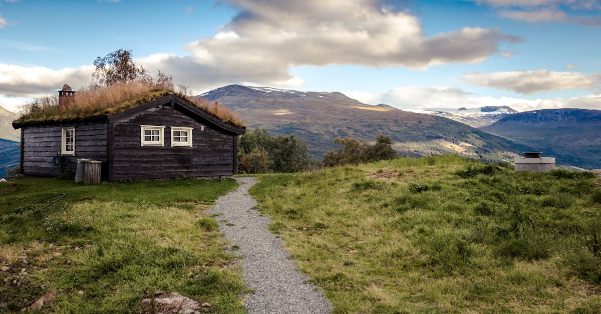 découvrez la norvège, un pays aux paysages à couper le souffle, entre fjords majestueux, montagnes enneigées et aurores boréales fascinantes. explorez la culture norvégienne, savourez une cuisine délicieuse et plongez dans l'histoire des vikings. planifiez votre aventure scandinave dès maintenant !