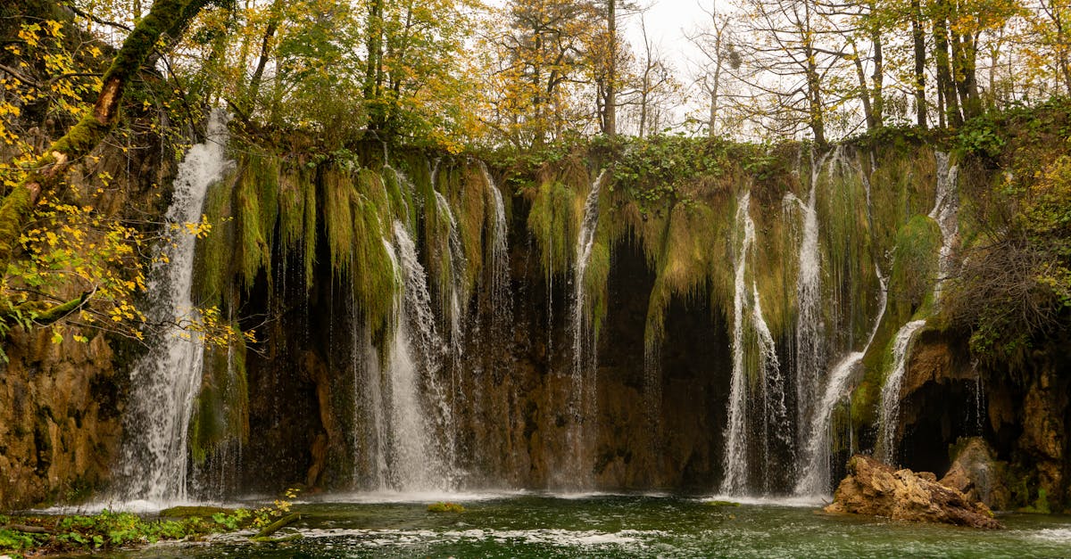 découvrez les merveilles des lacs de plitvice en croatie, un site classé au patrimoine mondial de l'unesco. explorez ses cascades spectaculaires, ses sentiers pittoresques et sa biodiversité unique dans un cadre naturel préservé.