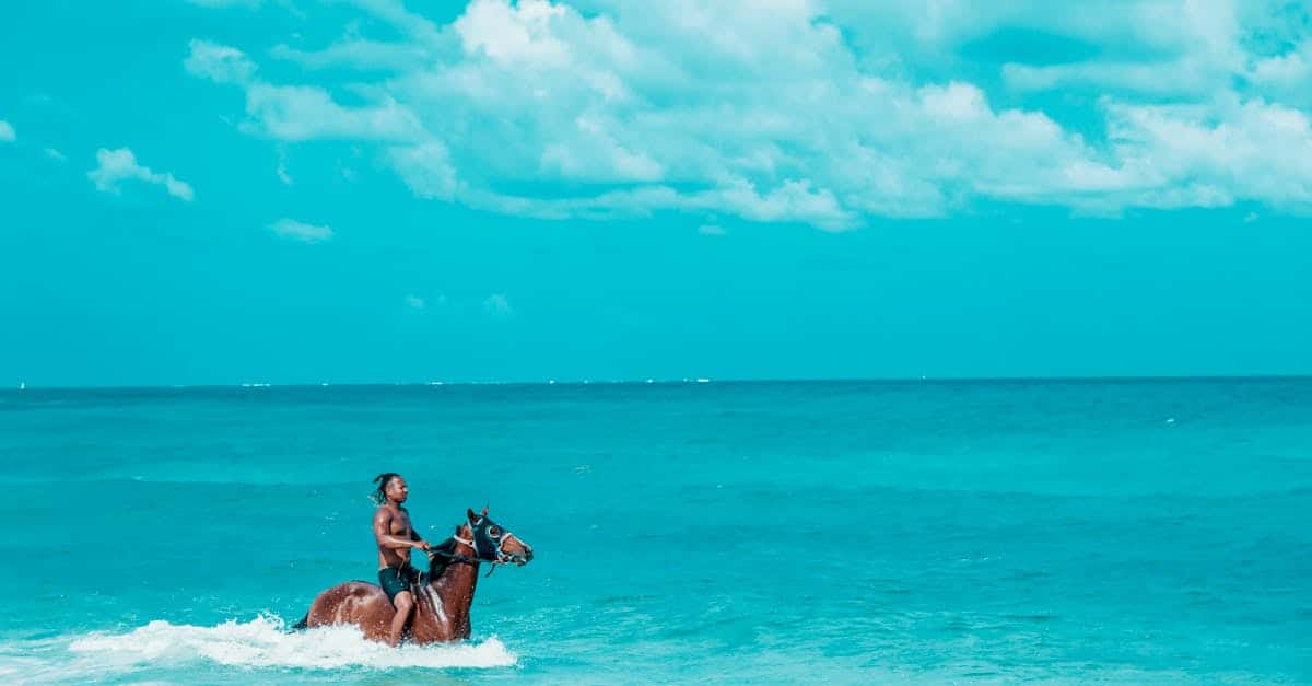 découvrez providencia, une destination magnifique regorgeant de paysages époustouflants, de plages de sable blanc et d'une biodiversité exceptionnelle. plongez dans une aventure unique entre culture, nature et détente au cœur de ce joyau des caraïbes.