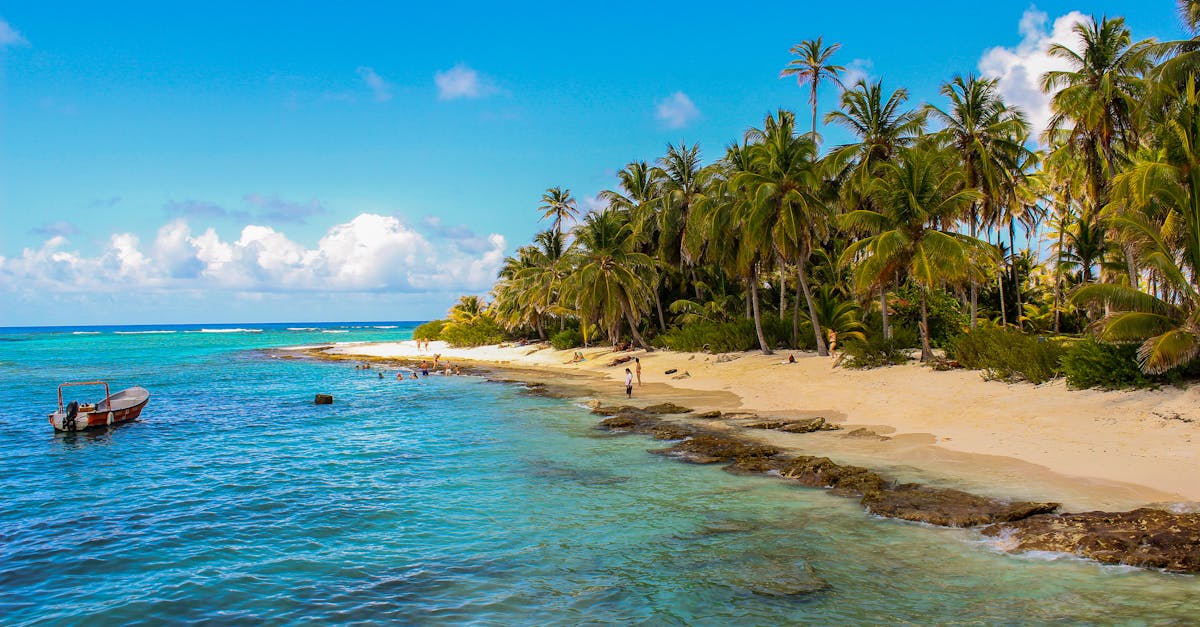 découvrez providencia, une destination paradisiaque aux eaux cristallines et paysages enchanteurs. explorez les plages de sable blanc, la biodiversité étonnante et les activités aquatiques palpitantes de cette île colombienne. parfait pour les amateurs de nature et d'aventure!