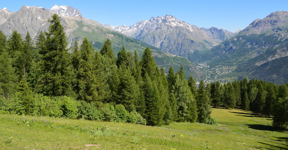 découvrez puy saint vincent, une station de ski familiale nichée dans les alpes du sud, offrant des panoramas exceptionnel sur les montagnes, des pistes adaptées à tous les niveaux et de nombreuses activités tant d'été que d'hiver. profitez d'un cadre idyllique pour vos vacances en pleine nature!
