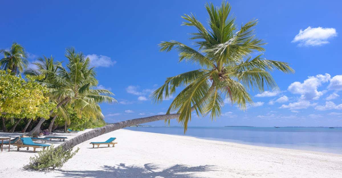 découvrez la beauté et la sérénité des paysages côtiers avec notre guide sur la vie au bord de la mer. plages, activités nautiques et détente vous attendent dans un cadre enchanteur.