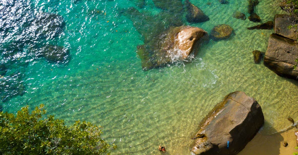 découvrez les seychelles, un archipel enchanteur de l'océan indien, célèbre pour ses plages de sable fin, ses eaux cristallines et sa biodiversité exceptionnelle. parfait pour une escapade romantique ou des vacances en famille, explorez ses paysages à couper le souffle et ses richesses culturelles.