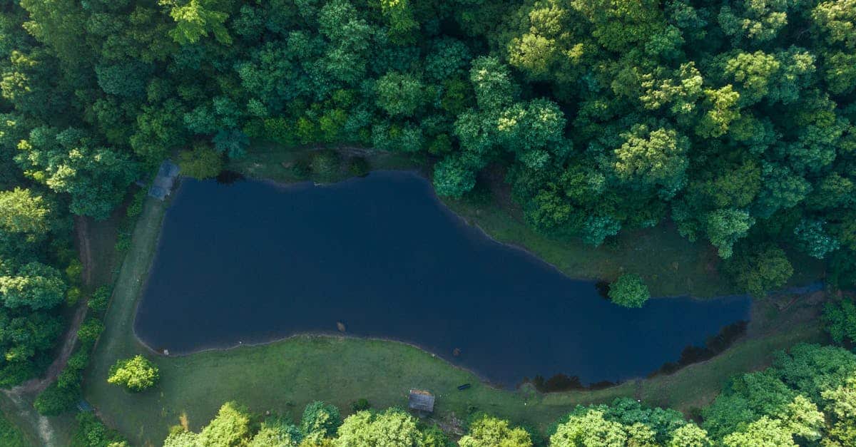 découvrez le sud du finistère, une région riche en paysages époustouflants, plages sauvages et patrimoine culturel. partez à l'aventure entre terres et mer, et explorez les charmants villages bretons, la gastronomie locale et les activités en plein air qui font de cette destination un véritable paradis pour les amoureux de la nature.