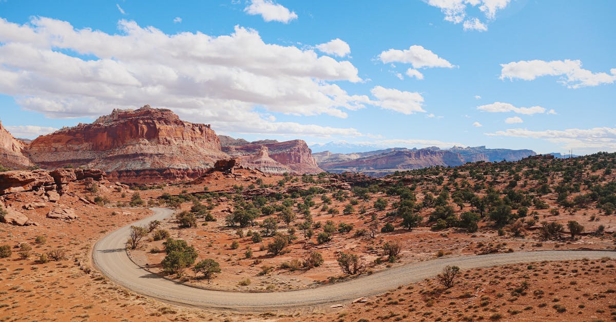 découvrez le sud-ouest de la france, une région riche en paysages variés, traditions culturelles et gastronomie savoureuse. explorez des villes pittoresques, des villages authentiques et profitez d'activités en plein air au cœur de la nature.