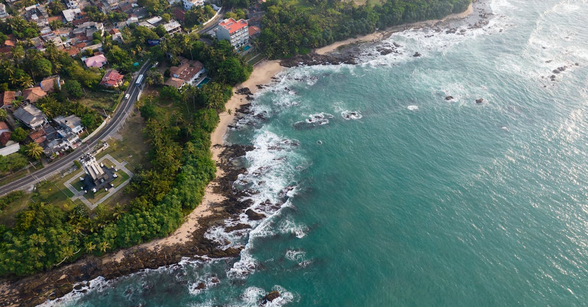 découvrez nos conseils pratiques pour un voyage inoubliable au sri lanka. que vous exploriez les plages paradisiaques, les plantations de thé ou les temples anciens, ces astuces vous aideront à profiter au maximum de votre aventure dans ce magnifique pays d'asie.