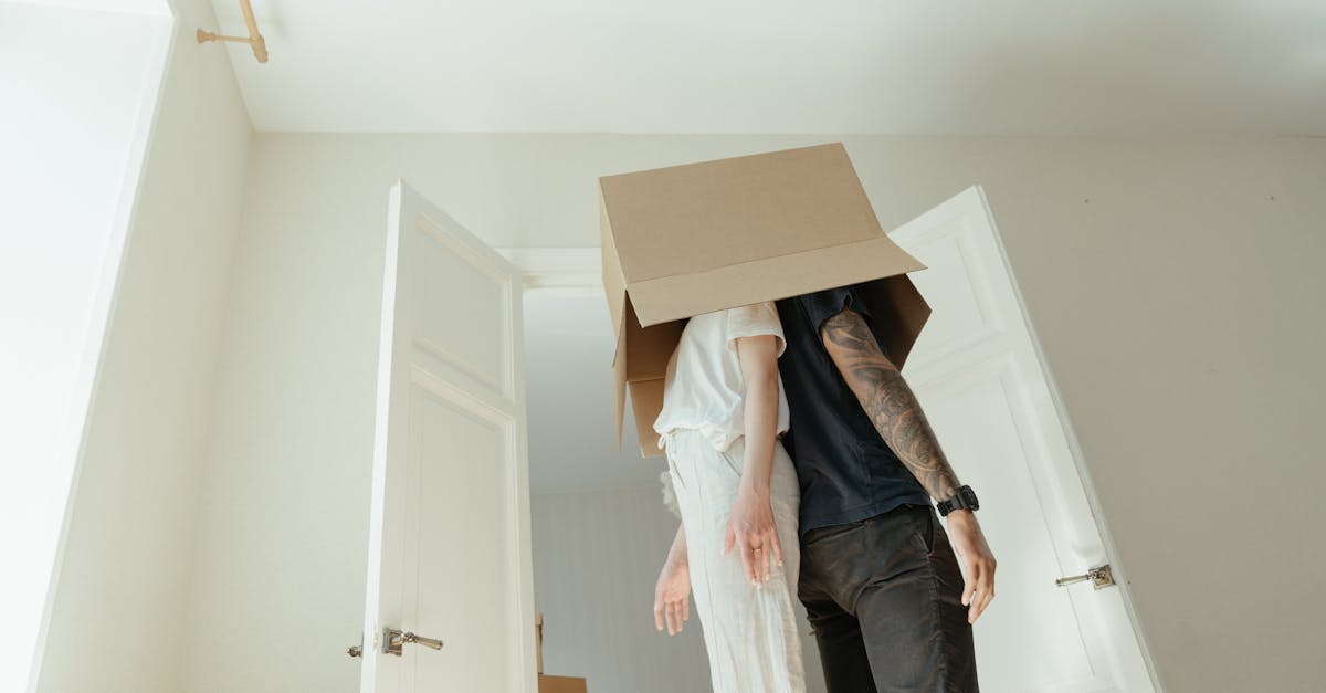 plongez dans une aventure inattendue où l'imprévu et l'excitation se rencontrent. découvrez des paysages enchanteurs, des rencontres surprenantes et des expériences mémorables qui bouleverseront votre perception du quotidien. préparez-vous à explorer l'inattendu !