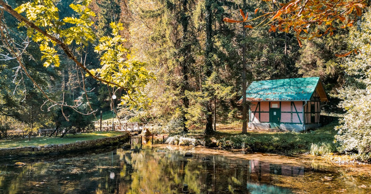 découvrez la sérénité d'une water cabin, un espace unique et apaisant où l'eau et la nature se rencontrent pour offrir une expérience de relaxation inoubliable. parfait pour s'évader du quotidien et renouer avec soi-même au sein d'un environnement harmonieux.