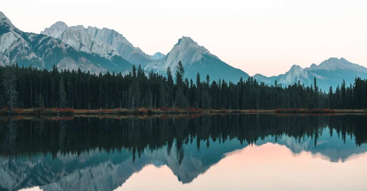 découvrez l'univers des parcs aquatiques : des aventures rafraîchissantes, des toboggans vertigineux et des espaces de détente pour toute la famille. plongez dans le plaisir et profitez d'une journée inoubliable sous le soleil!