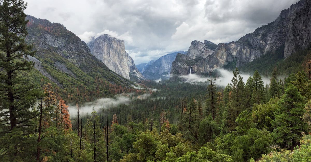découvrez le parc national de yosemite, une merveille naturelle des états-unis, célèbre pour ses paysages époustouflants, ses falaises granitiques majestueuses, ses chutes d'eau impressionnantes et sa biodiversité unique. parfait pour les amateurs de randonnée, d'escalade et de photographie, yosemite vous offre une expérience inoubliable au cœur de la nature.