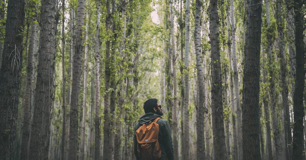 découvrez les plus belles randonnées à travers les paysages époustouflants de la nature. que vous soyez débutant ou randonneur expérimenté, trouvez des itinéraires adaptés à tous les niveaux et profitez d'aventures inoubliables en plein air.