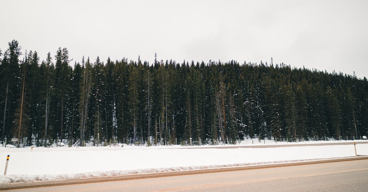 découvrez un monde fascinant d'aventures palpitantes où l'exploration et l'excitation ne connaissent aucune limite. partez à la conquête de nouvelles expériences, des paysages époustouflants et des rencontres inoubliables. préparez-vous à vivre des moments d'adrénaline et à créer des souvenirs mémorables au cœur de l'aventure.