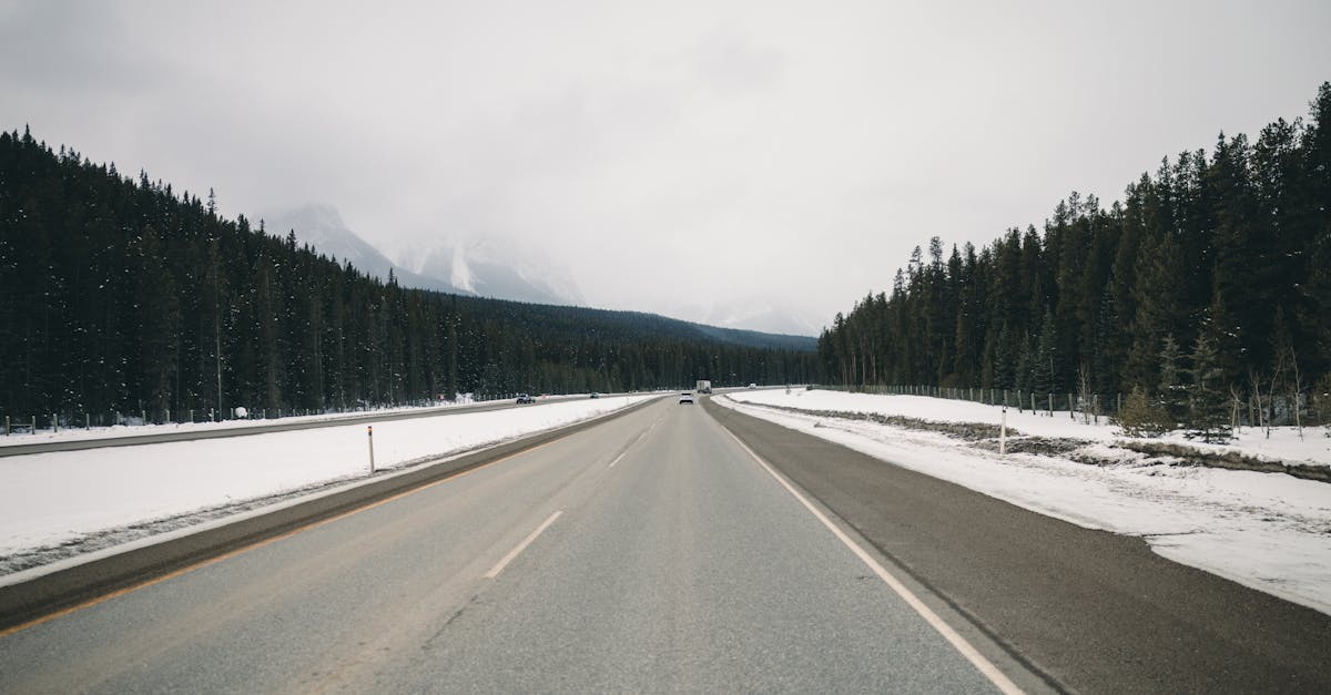 découvrez un monde fascinant d'aventures palpitantes, où chaque instant vous emmène vers de nouvelles expériences inoubliables. que ce soit à travers des paysages à couper le souffle ou des histoires captivantes, rejoignez-nous pour explorer l'extraordinaire.