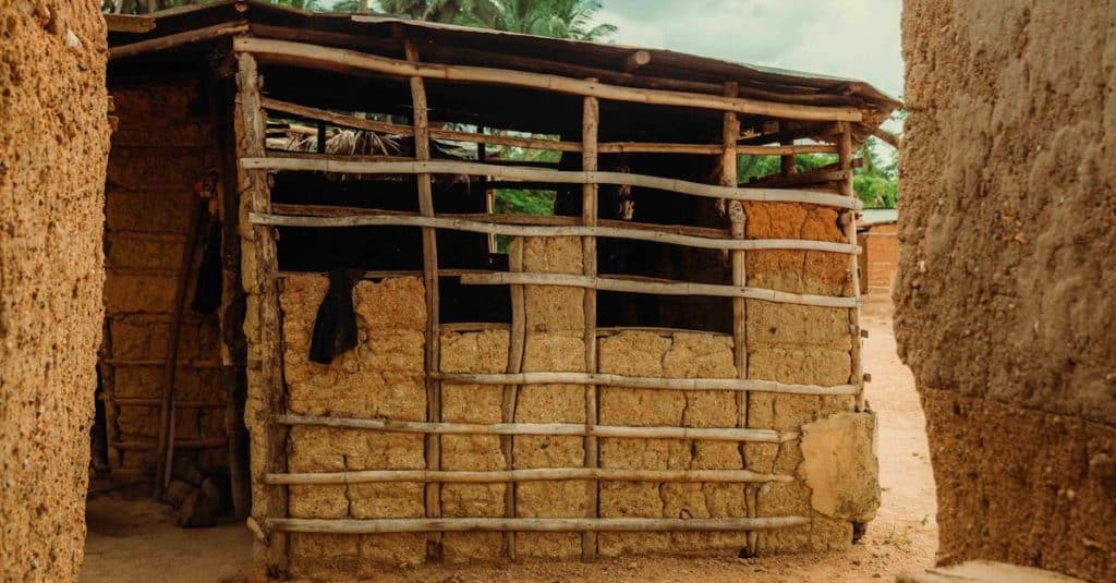 découvrez l'importance de la diversité culturelle, ses impacts sur la société et la richesse qu'elle apporte à nos vies quotidiennes. explorez les différentes traditions, langues et modes de vie qui enrichissent notre monde.