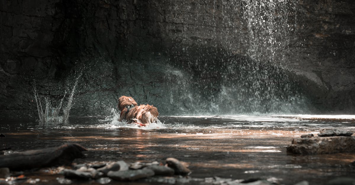 découvrez des trésors cachés à travers le monde qui vous promettent des expériences uniques et mémorables. explorez des destinations méconnues, des lieux enchanteurs et des activités insolites qui vous permettront de sortir des sentiers battus et d'enrichir vos aventures.