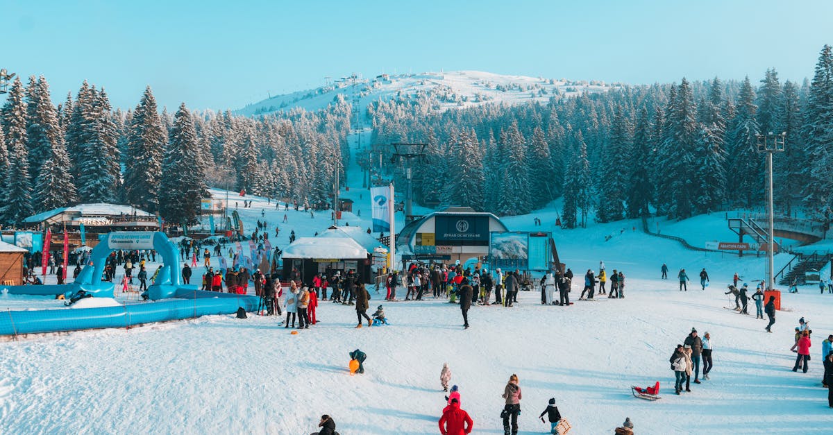 découvrez notre sélection de locations abordables et confortables, adaptées à tous vos besoins. que vous recherchiez un appartement, une maison ou un espace de travail, nous avons ce qu'il vous faut pour rendre votre séjour agréable et mémorable.