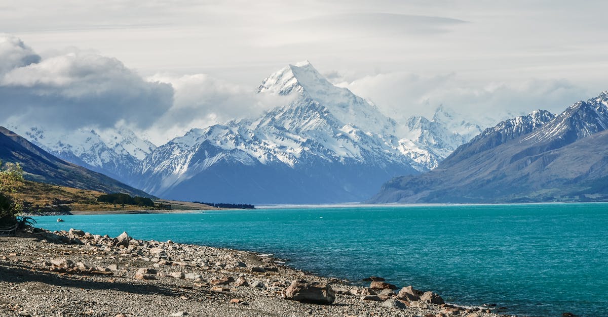 découvrez les majestueuses alpes du sud, un véritable trésor naturel où se mêlent paysages grandioses, activités de plein air et charmants villages. explorez les montagnes, profitez de la randonnée, du ski et savourez la gastronomie locale dans cette région d'une beauté à couper le souffle.