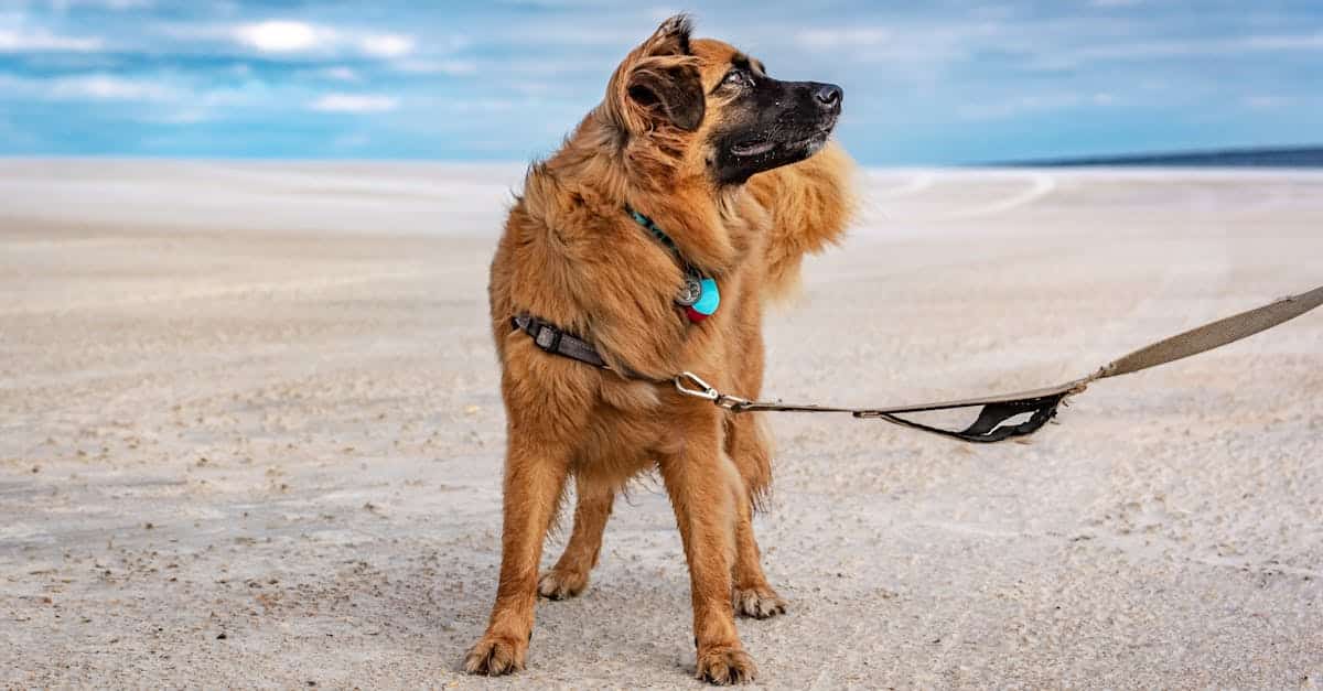 découvrez notre assurance voyage complète qui vous protège durant vos déplacements à l'étranger. profitez de vos vacances l'esprit tranquille avec des garanties adaptées à vos besoins, que ce soit pour les urgences médicales, les annulations de vol ou les pertes de bagages.