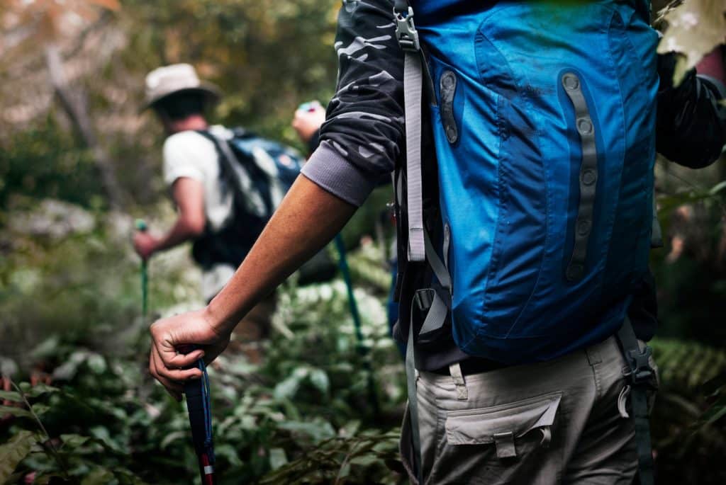 Trekking in a forest